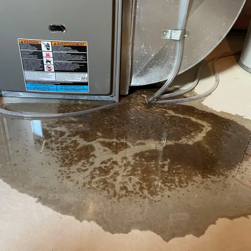 Appliance Leak Cleanup in Cincinnati, OH